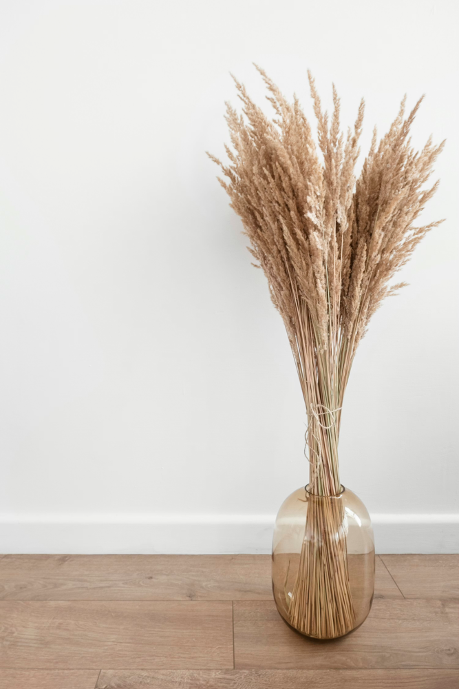 Vaso com arranjo seco em foto do Unsplash